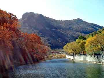 新澳门期期准精准，上海钢塑土工格栅